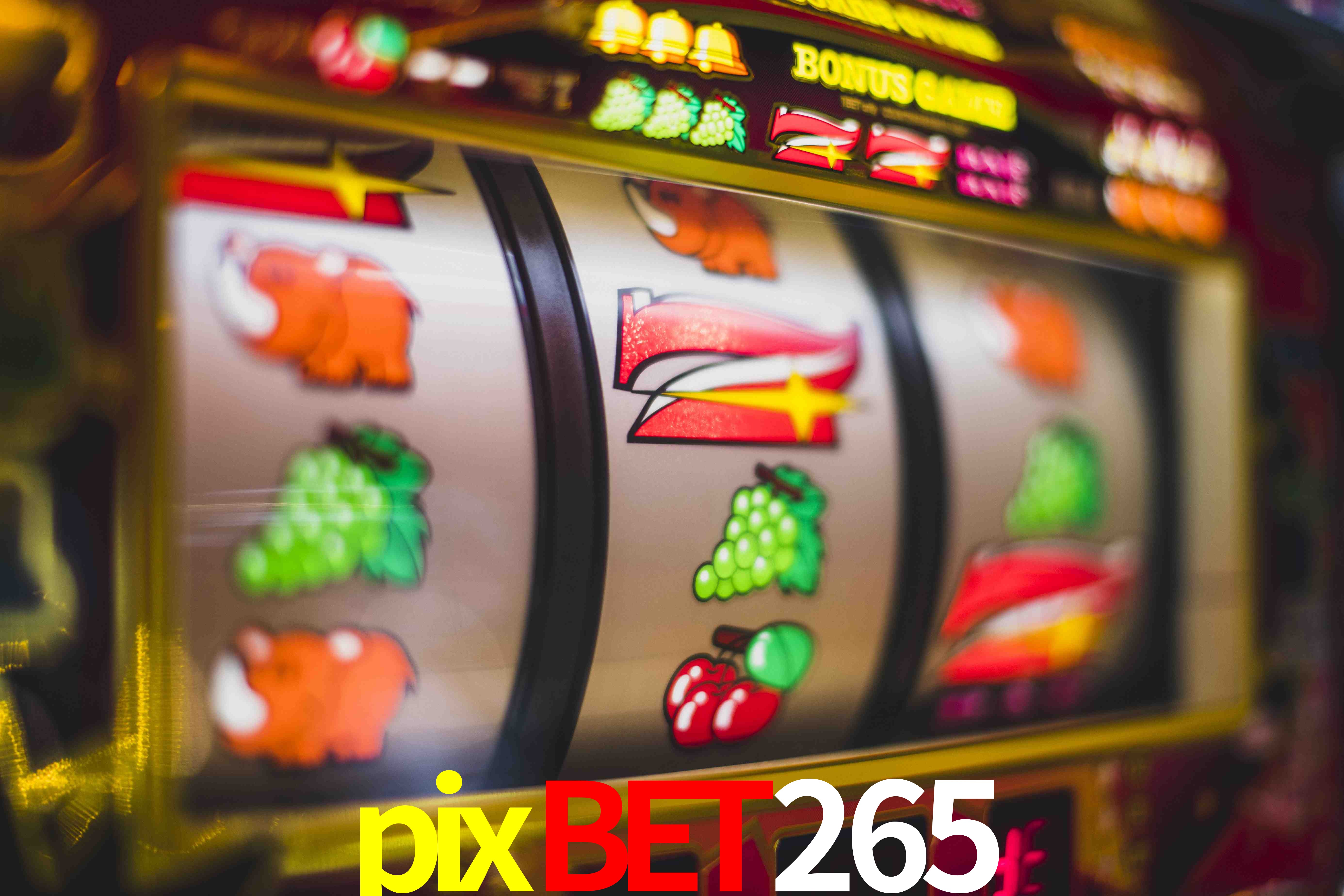 Sports Statistics pixbet265